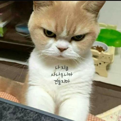 강민규